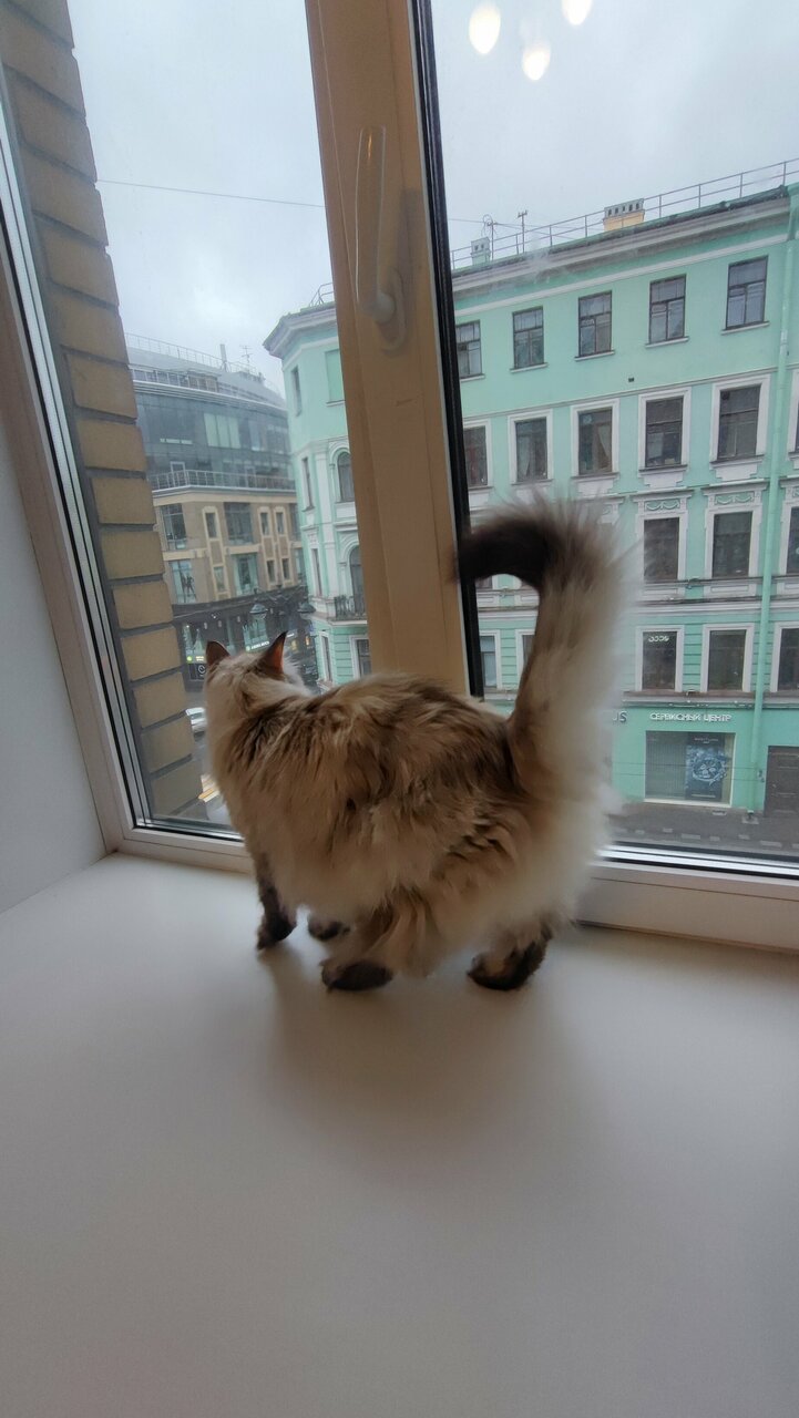 Гостиница Большой 45 Санкт-Петербург