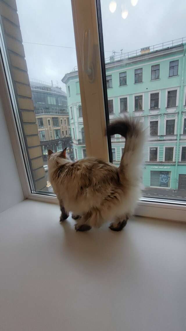 Гостиница Большой 45 Санкт-Петербург-22