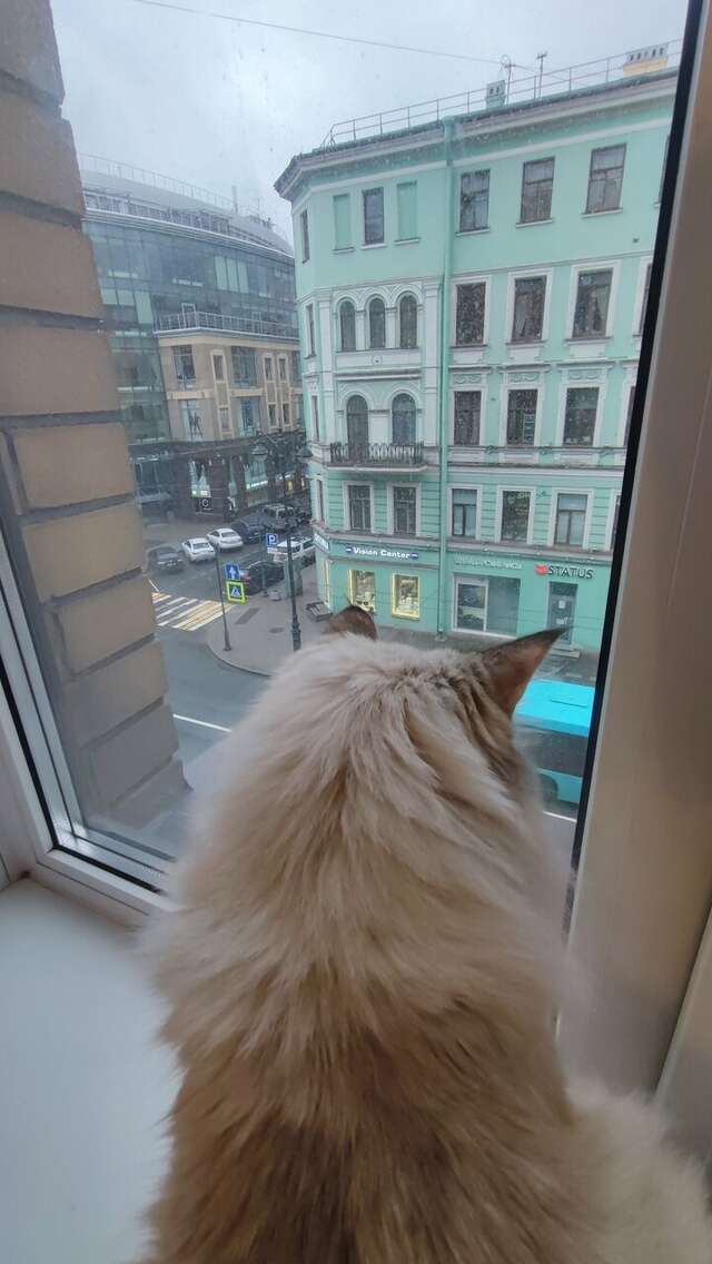 Гостиница Большой 45 Санкт-Петербург-20